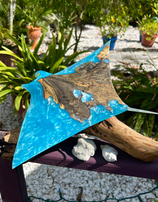 Buckey Burl Wood "Manta Ray" Sculpture