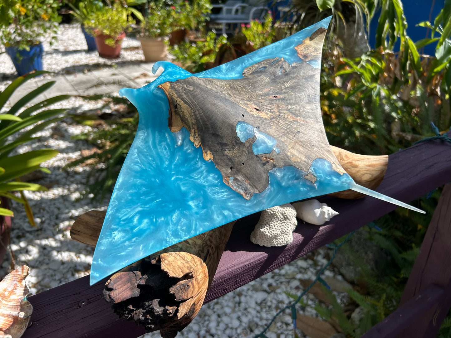 Buckey Burl Wood "Manta Ray" Sculpture