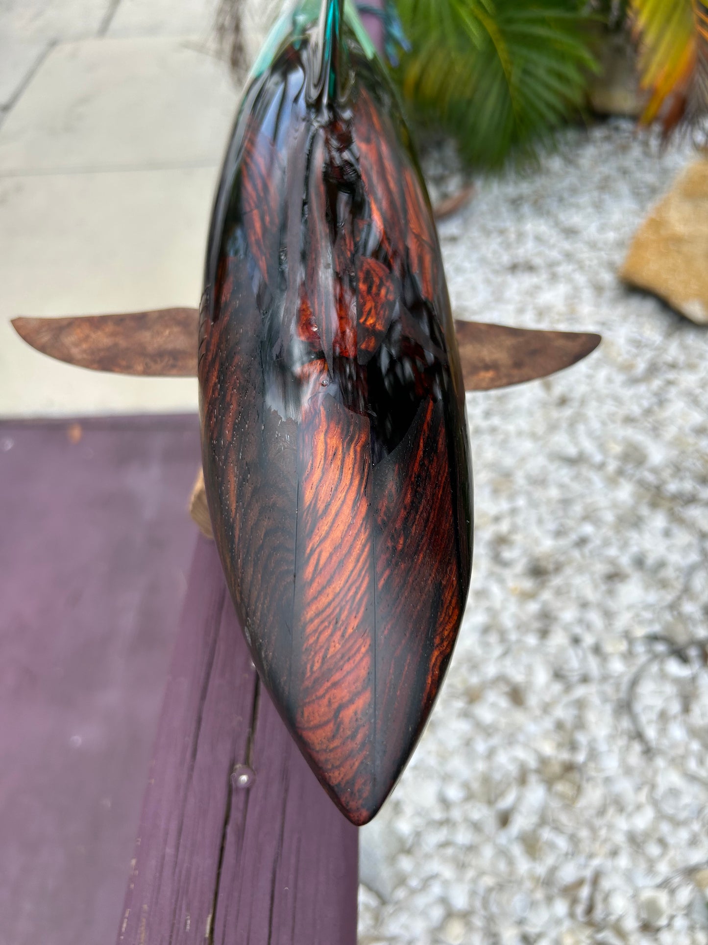 Coca Bola Wood and Clear "Great White Shark" Sculpture