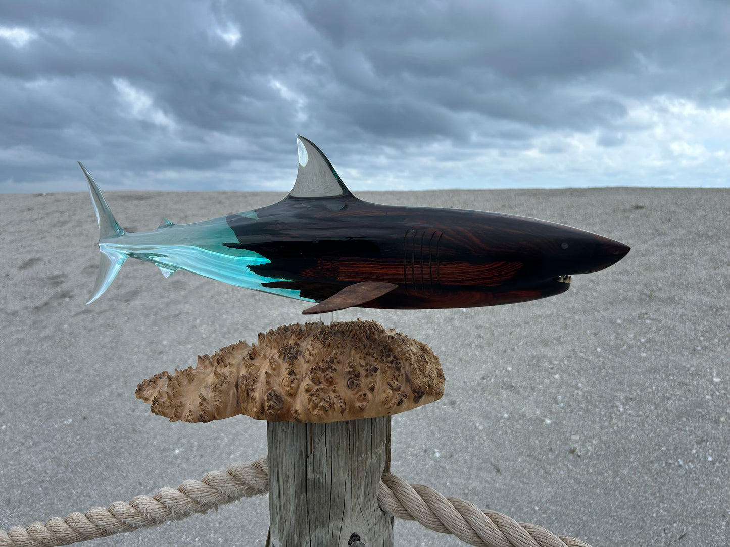 Coca Bola Wood and Clear "Great White Shark" Sculpture