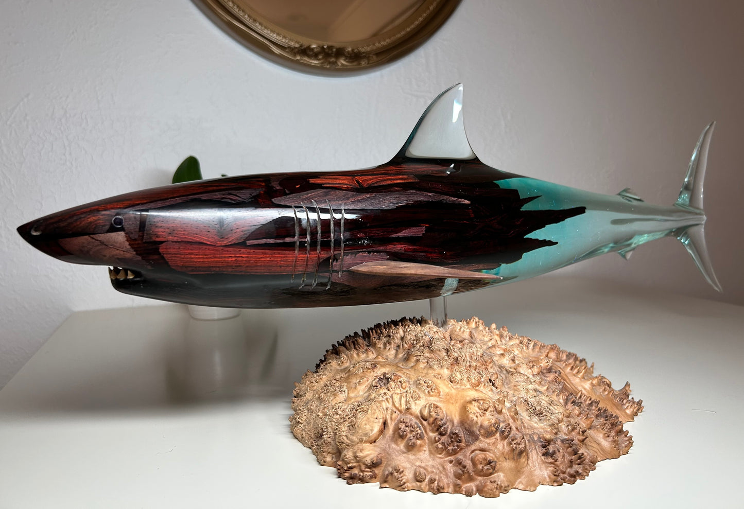Coca Bola Wood and Clear "Great White Shark" Sculpture
