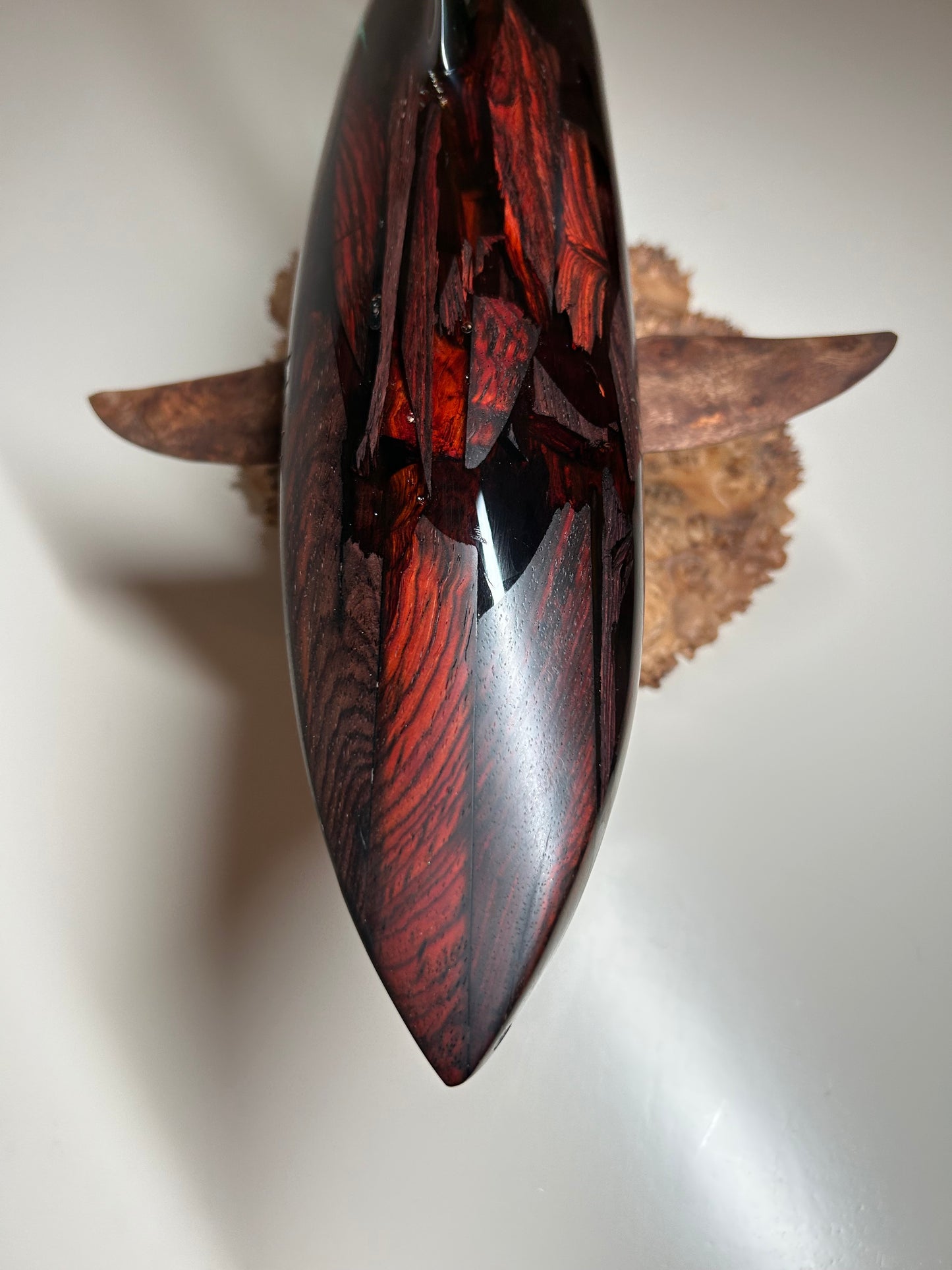 Coca Bola Wood and Clear "Great White Shark" Sculpture