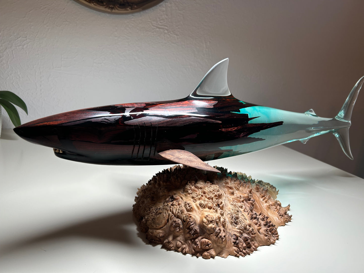 Coca Bola Wood and Clear "Great White Shark" Sculpture