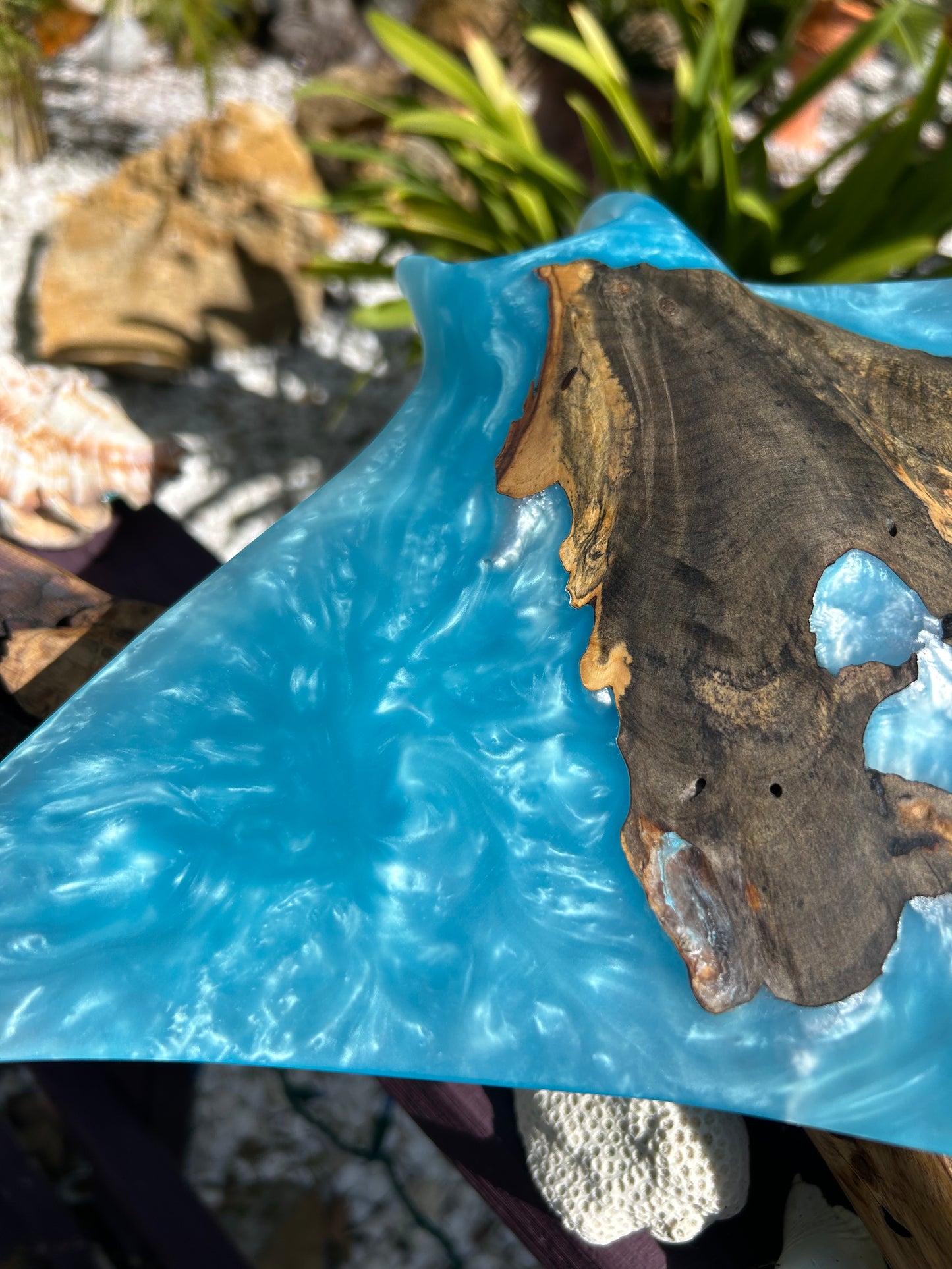 Buckey Burl Wood "Manta Ray" Sculpture
